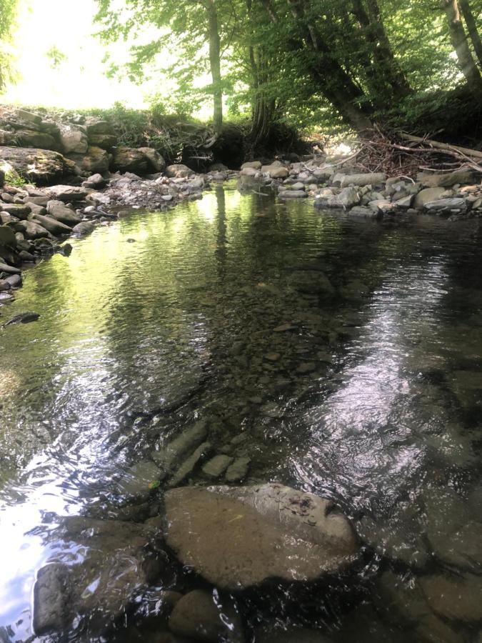 CamugnanoCasa Nel Bosco, Appennino Tosco Emilianoアパートメント エクステリア 写真